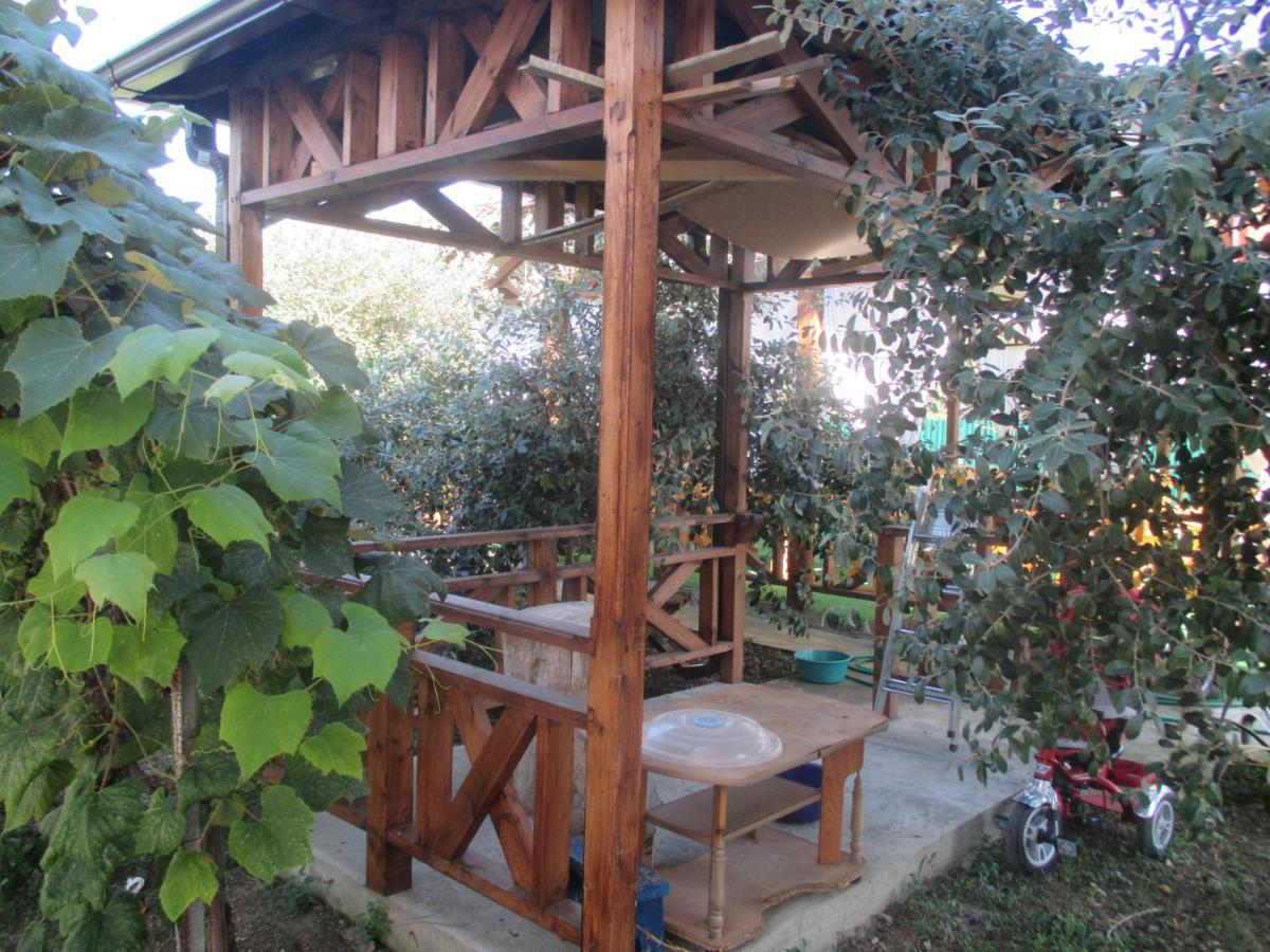 Guest House У Дедушки Самвела Alakhadze Екстериор снимка